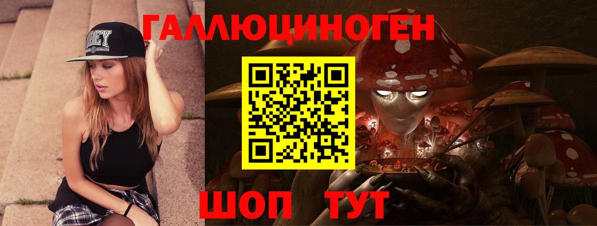 Псилоцибиновые грибы Psilocybine cubensis Каменка